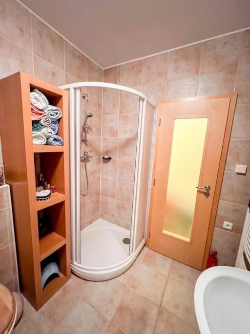 Prokop Apartment Železná Ruda Екстериор снимка