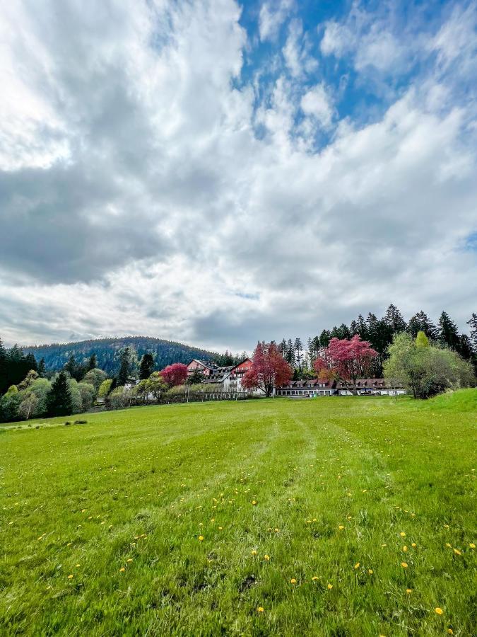 Prokop Apartment Železná Ruda Екстериор снимка